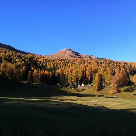 Bellavista