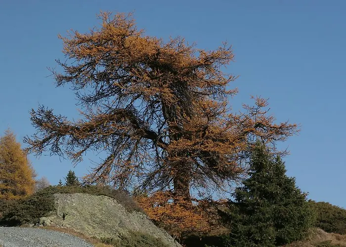 Hotel Bellavista Ftan